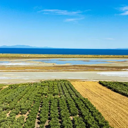 Mama Natura By Rentalspro Services - Agios Mamas (Chalkidiki)